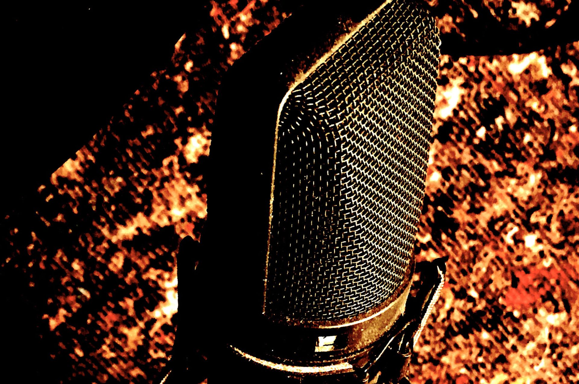 Ervaren voice over